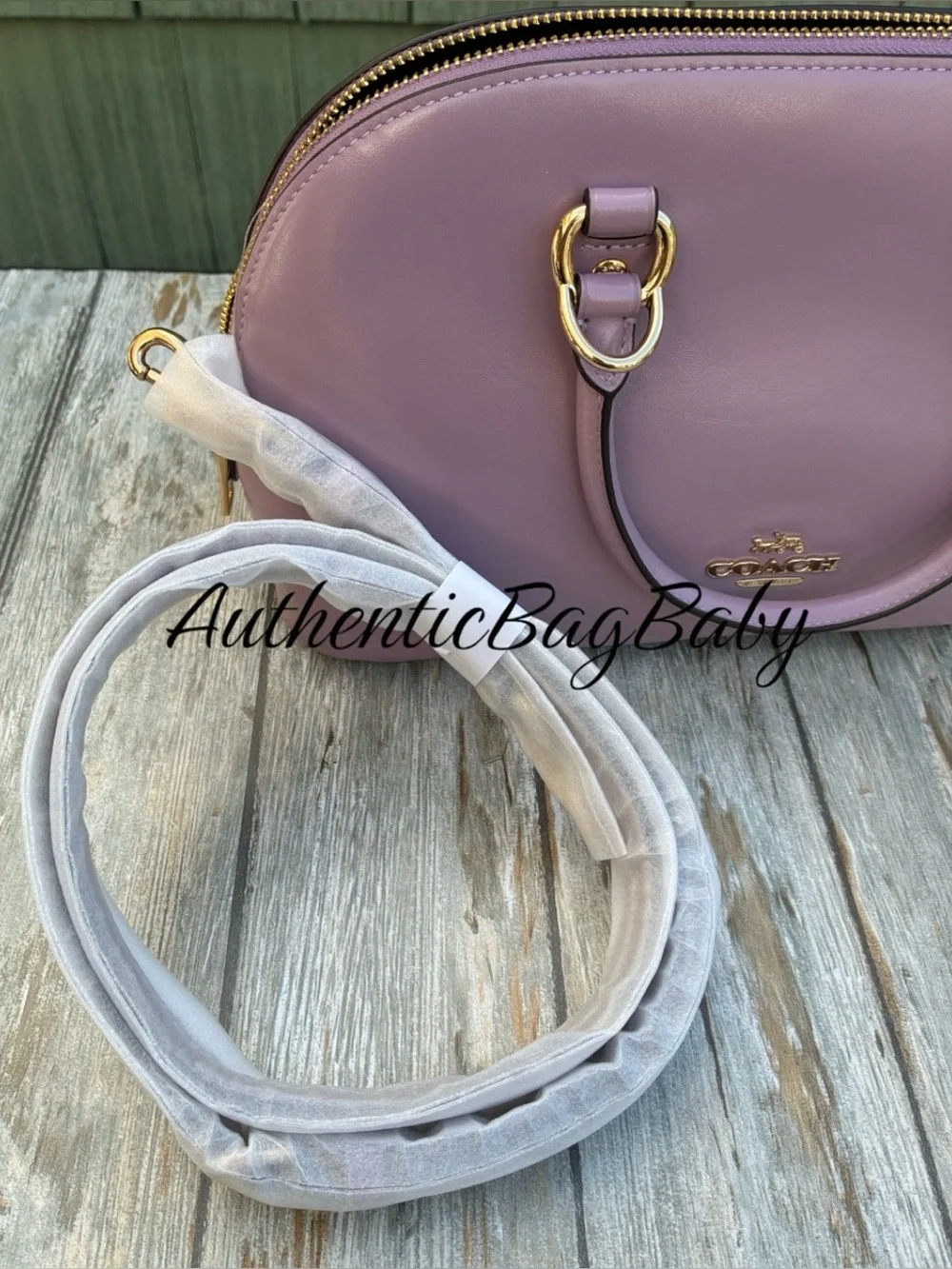 Coach Lara Satchel Leather Bag Purse